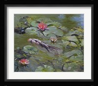 Koi & Lilies III Fine Art Print