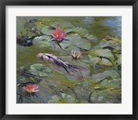 Koi & Lilies III Fine Art Print