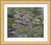 Koi & Lilies III Fine Art Print