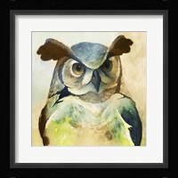 Harlequin Hibou II Framed Print