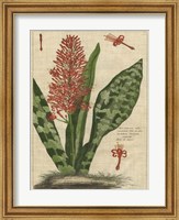 Botanical Study on Linen I Fine Art Print