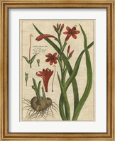 Botanical Study on Linen II Fine Art Print