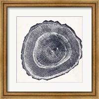 Tree Ring III Fine Art Print