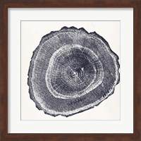 Tree Ring III Fine Art Print
