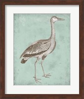 Sepia & Spa Heron I Fine Art Print
