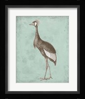 Sepia & Spa Heron II Framed Print
