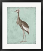 Sepia & Spa Heron II Framed Print