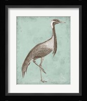 Sepia & Spa Heron III Framed Print