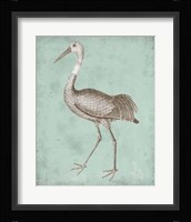 Sepia & Spa Heron IV Fine Art Print
