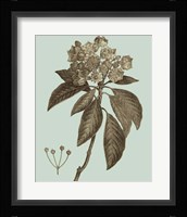 Flowering Trees V Fine Art Print