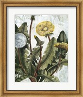Dandelion Patina I Fine Art Print