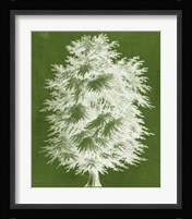 Modern Arbor I Fine Art Print