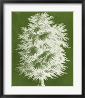 Modern Arbor I Framed Print