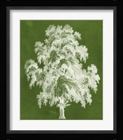 Modern Arbor II Fine Art Print