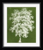 Modern Arbor III Fine Art Print