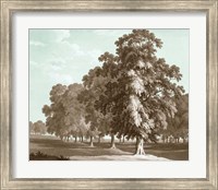 Serene Trees II Fine Art Print