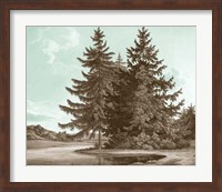 Serene Trees III Fine Art Print