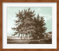 Serene Trees IV Fine Art Print