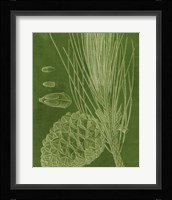 Modern Pine I Fine Art Print