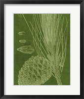 Modern Pine I Framed Print