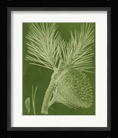 Modern Pine III Fine Art Print