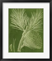 Modern Pine III Framed Print