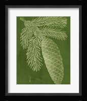 Modern Pine IV Fine Art Print