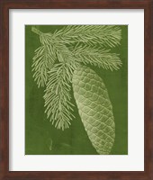 Modern Pine IV Fine Art Print