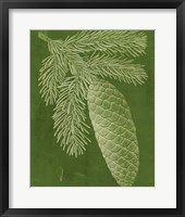 Modern Pine IV Fine Art Print