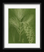 Modern Pine VI Fine Art Print