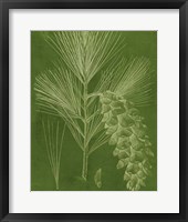 Modern Pine VI Framed Print