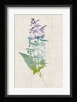 Watercolor Plants I Framed Print