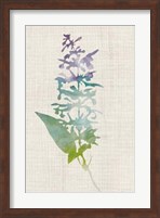Watercolor Plants I Fine Art Print