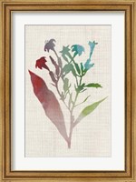 Watercolor Plants II Fine Art Print