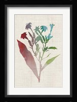 Watercolor Plants II Framed Print