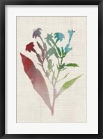 Watercolor Plants II Fine Art Print