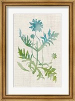 Watercolor Plants III Fine Art Print