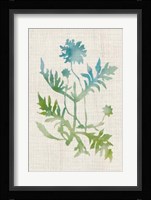 Watercolor Plants III Framed Print