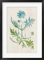 Watercolor Plants III Fine Art Print