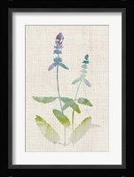 Watercolor Plants IV Framed Print