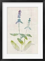 Watercolor Plants IV Fine Art Print