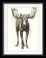 Majestic Wildlife I Framed Print