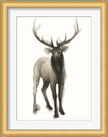 Majestic Wildlife II Fine Art Print