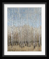 Dusty Blue Birches I Framed Print