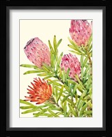 Watercolor Tropical Flowers I Framed Print