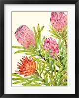 Watercolor Tropical Flowers I Framed Print