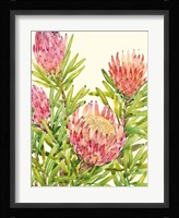 Watercolor Tropical Flowers II Framed Print