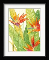 Watercolor Tropical Flowers III Framed Print