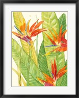 Watercolor Tropical Flowers III Fine Art Print