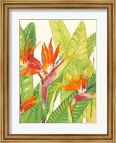 Watercolor Tropical Flowers IV Fine Art Print